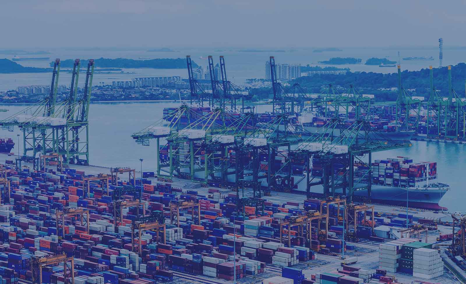 Términos y Condiciones de Uso del Sitio Web